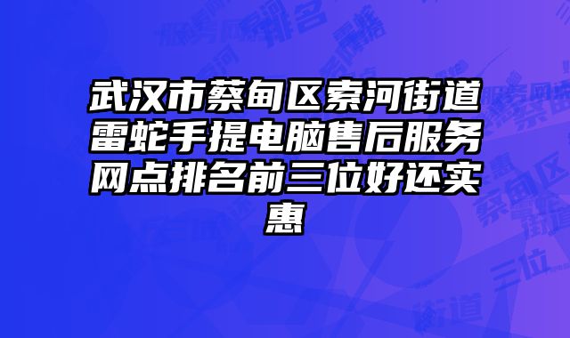 武漢市蔡甸區(qū)索河街道雷蛇手提電腦售后服務網點排名前三位好還實惠