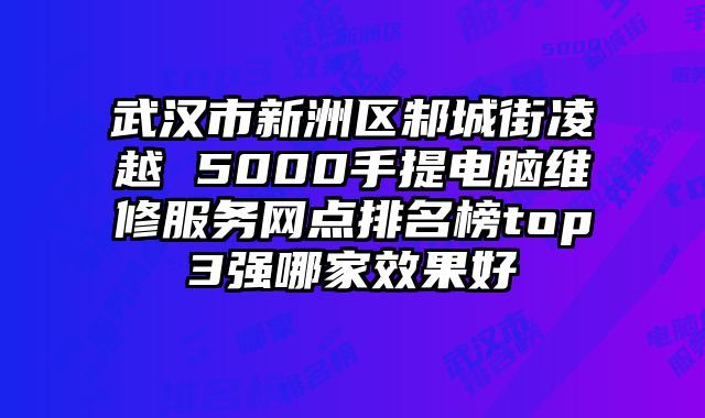 武漢市新洲區邾城街凌越 5000手提電腦維修服務網點排名榜top3強哪家效果好