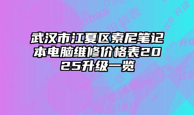 武漢市江夏區(qū)索尼筆記本電腦維修價(jià)格表2025升級一覽