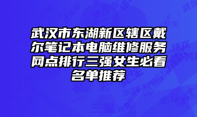 武漢市東湖新區轄區戴爾筆記本電腦維修服務網點排行三強女生必看名單推薦
