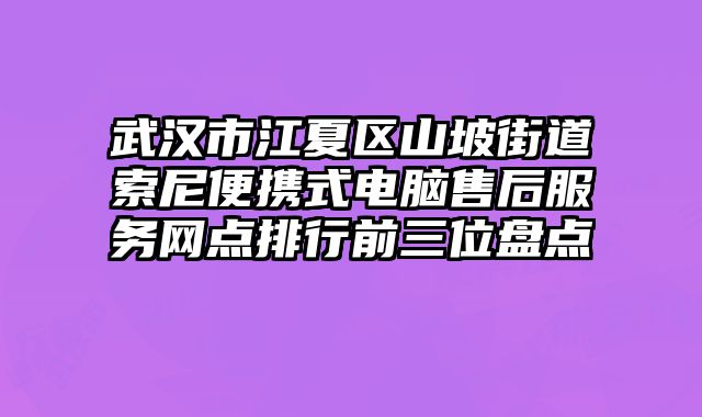 武漢市江夏區山坡街道索尼便攜式電腦售后服務網點排行前三位盤點