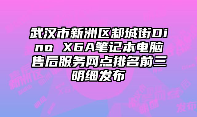 武漢市新洲區邾城街Dino X6A筆記本電腦售后服務網點排名前三明細發布