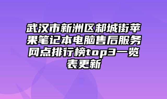 武漢市新洲區邾城街蘋果筆記本電腦售后服務網點排行榜top3一覽表更新