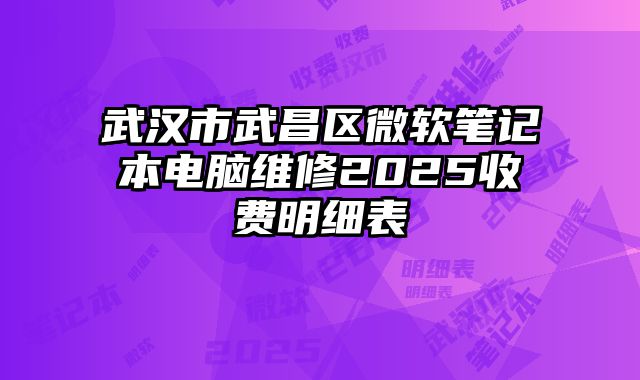 武漢市武昌區(qū)微軟筆記本電腦維修2025收費(fèi)明細(xì)表