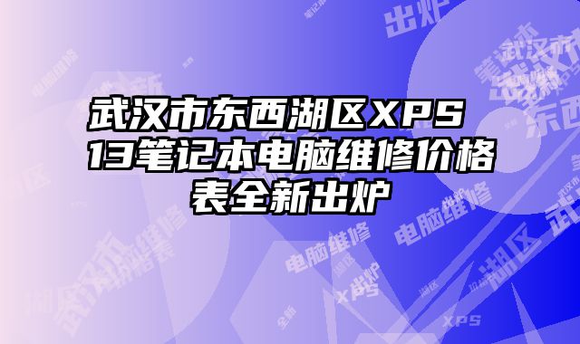 武漢市東西湖區XPS 13筆記本電腦維修價格表全新出爐