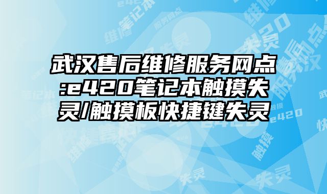 武漢售后維修服務(wù)網(wǎng)點:e420筆記本觸摸失靈/觸摸板快捷鍵失靈