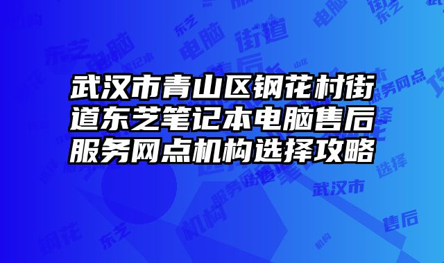 武漢市青山區鋼花村街道東芝筆記本電腦售后服務網點機構選擇攻略