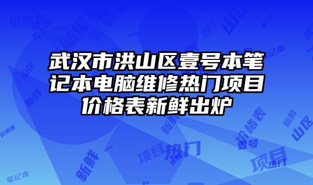 武漢市洪山區壹號本筆記本電腦維修熱門項目價格表新鮮出爐