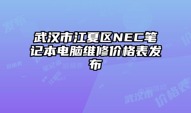 武漢市江夏區NEC筆記本電腦維修價格表發布