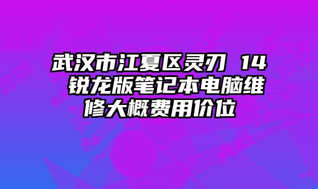 武漢市江夏區靈刃 14 銳龍版筆記本電腦維修大概費用價位