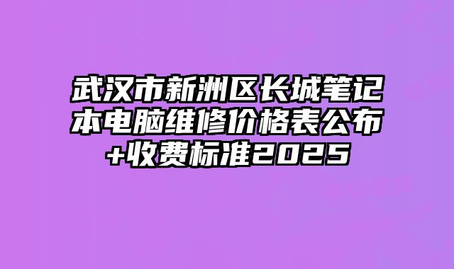 武漢市新洲區長城筆記本電腦維修價格表公布+收費標準2025