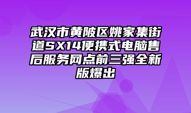 武漢市黃陂區(qū)姚家集街道SX14便攜式電腦售后服務(wù)網(wǎng)點(diǎn)前三強(qiáng)全新版爆出