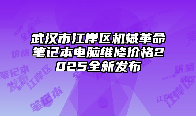武漢市江岸區(qū)機(jī)械革命筆記本電腦維修價(jià)格2025全新發(fā)布