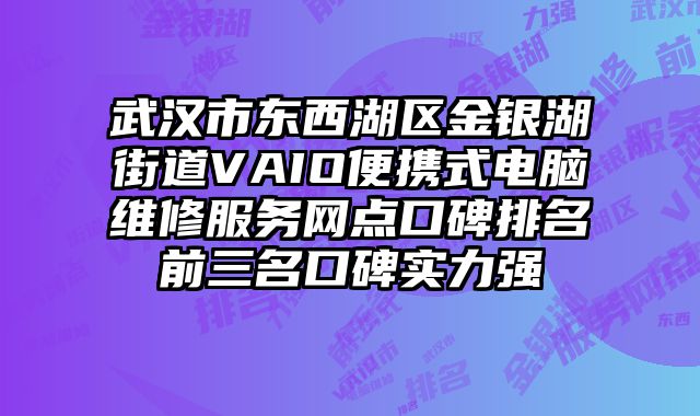 武漢市東西湖區金銀湖街道VAIO便攜式電腦維修服務網點口碑排名前三名口碑實力強
