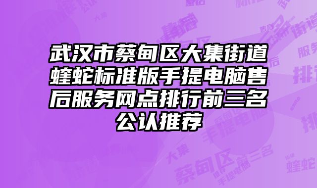 武漢市蔡甸區大集街道蝰蛇標準版手提電腦售后服務網點排行前三名公認推薦