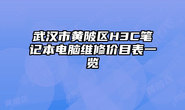武漢市黃陂區H3C筆記本電腦維修價目表一覽