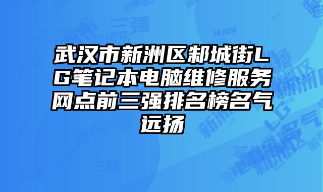 武漢市新洲區邾城街LG筆記本電腦維修服務網點前三強排名榜名氣遠揚