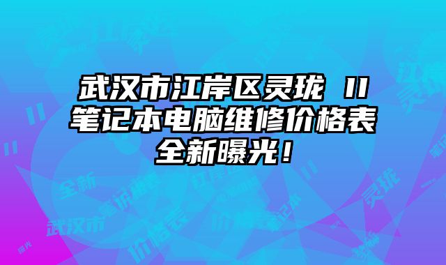 武漢市江岸區靈瓏 II筆記本電腦維修價格表全新曝光！