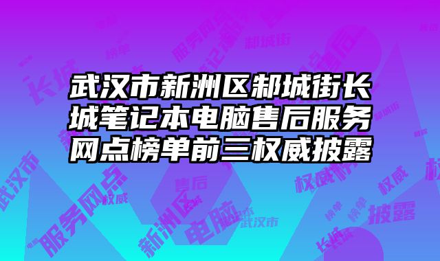 武漢市新洲區邾城街長城筆記本電腦售后服務網點榜單前三權威披露