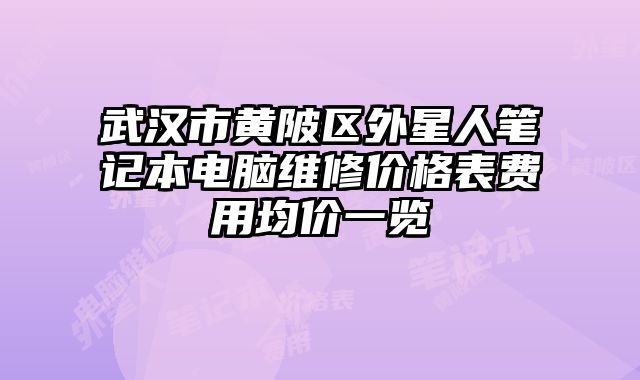 武漢市黃陂區外星人筆記本電腦維修價格表費用均價一覽