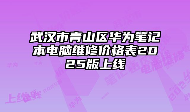 武漢市青山區華為筆記本電腦維修價格表2025版上線