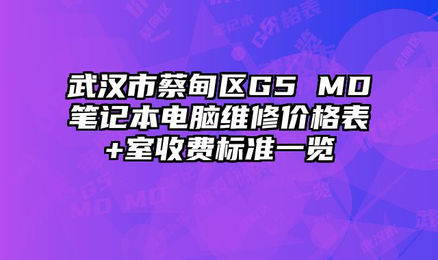 武漢市蔡甸區G5 MD筆記本電腦維修價格表+室收費標準一覽