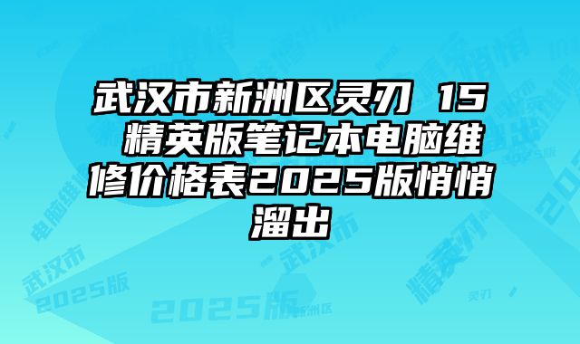 武漢市新洲區靈刃 15 精英版筆記本電腦維修價格表2025版悄悄溜出
