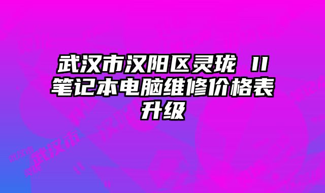 武漢市漢陽區靈瓏 II筆記本電腦維修價格表升級