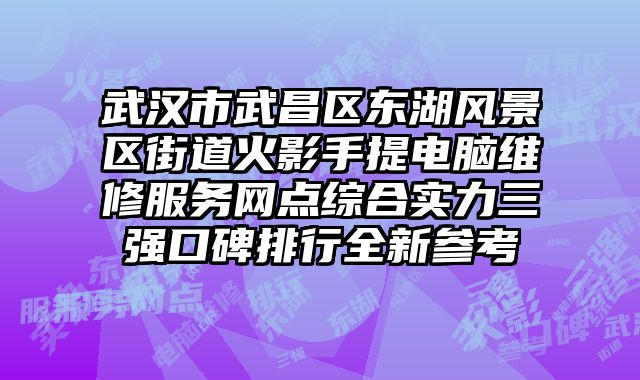 武漢市武昌區東湖風景區街道火影手提電腦維修服務網點綜合實力三強口碑排行全新參考