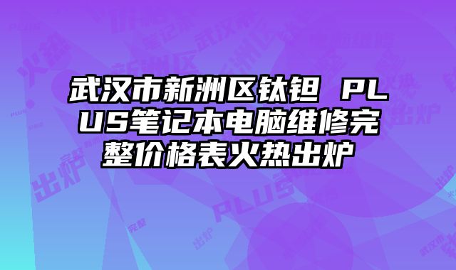 武漢市新洲區鈦鉭 PLUS筆記本電腦維修完整價格表火熱出爐