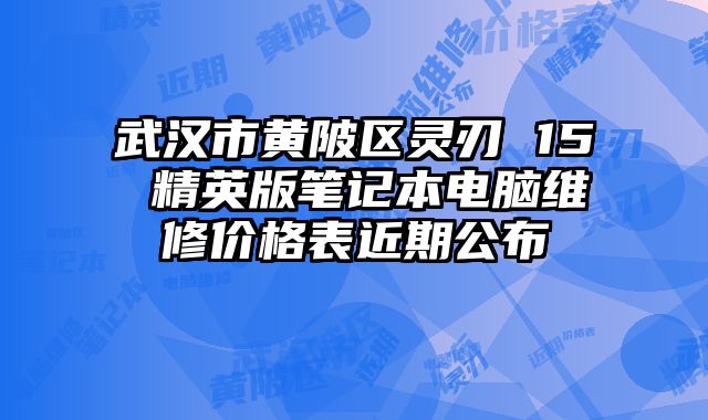 武漢市黃陂區(qū)靈刃 15 精英版筆記本電腦維修價格表近期公布