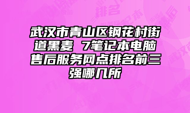武漢市青山區(qū)鋼花村街道黑麥 7筆記本電腦售后服務(wù)網(wǎng)點排名前三強哪幾所