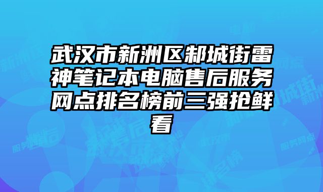 武漢市新洲區邾城街雷神筆記本電腦售后服務網點排名榜前三強搶鮮看
