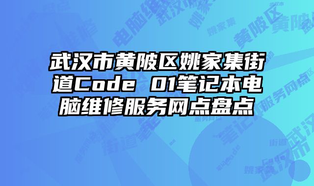 武漢市黃陂區姚家集街道Code 01筆記本電腦維修服務網點盤點
