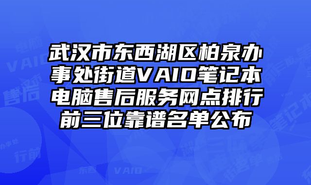 武漢市東西湖區柏泉辦事處街道VAIO筆記本電腦售后服務網點排行前三位靠譜名單公布
