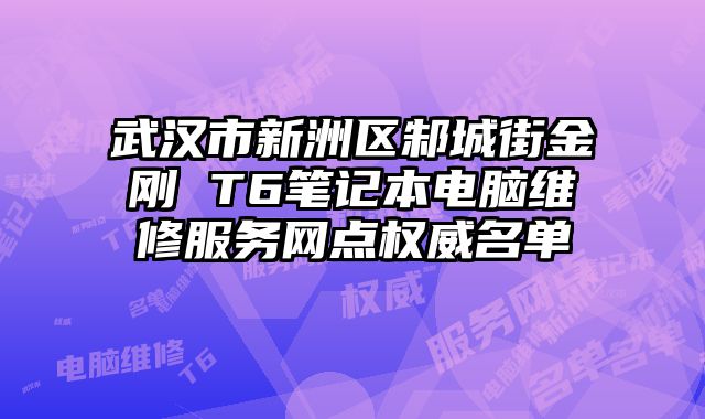 武漢市新洲區邾城街金剛 T6筆記本電腦維修服務網點權威名單