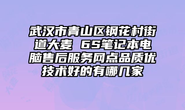 武漢市青山區鋼花村街道大麥 6S筆記本電腦售后服務網點品質優技術好的有哪幾家