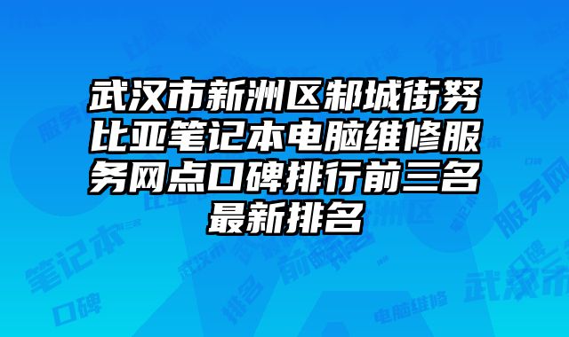 武漢市新洲區邾城街努比亞筆記本電腦維修服務網點口碑排行前三名最新排名