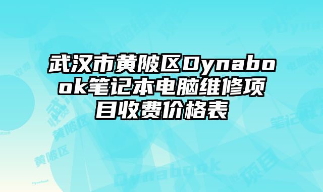 武漢市黃陂區(qū)Dynabook筆記本電腦維修項目收費價格表