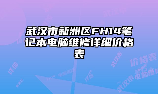 武漢市新洲區FH14筆記本電腦維修詳細價格表