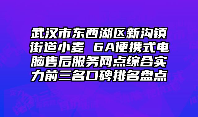 武漢市東西湖區新溝鎮街道小麥 6A便攜式電腦售后服務網點綜合實力前三名口碑排名盤點