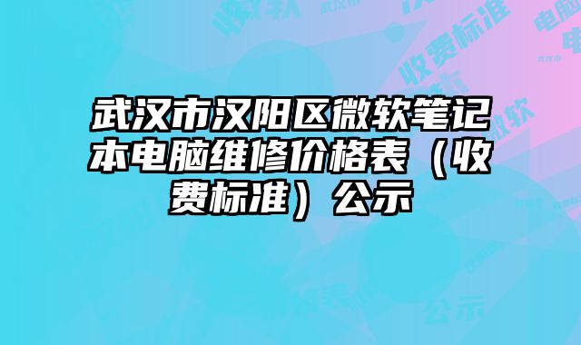 武漢市漢陽區微軟筆記本電腦維修價格表（收費標準）公示
