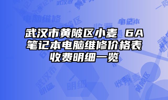 武漢市黃陂區小麥 6A筆記本電腦維修價格表收費明細一覽