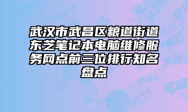 武漢市武昌區糧道街道東芝筆記本電腦維修服務網點前三位排行知名盤點