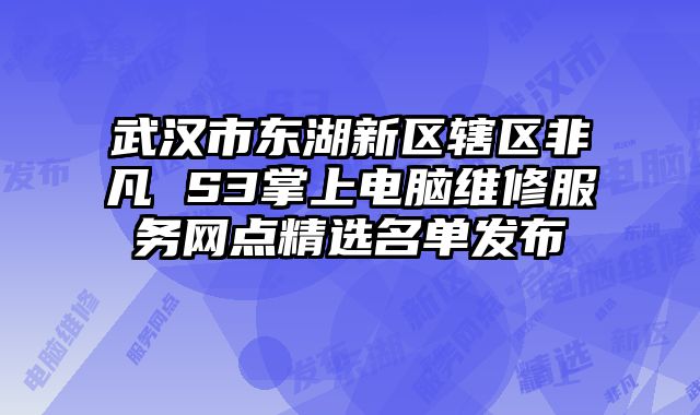 武漢市東湖新區轄區非凡 S3掌上電腦維修服務網點精選名單發布