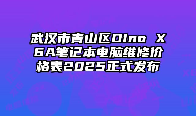 武漢市青山區Dino X6A筆記本電腦維修價格表2025正式發布