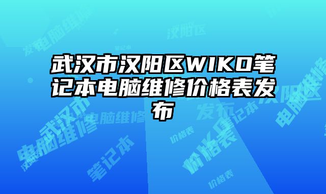 武漢市漢陽區(qū)WIKO筆記本電腦維修價格表發(fā)布