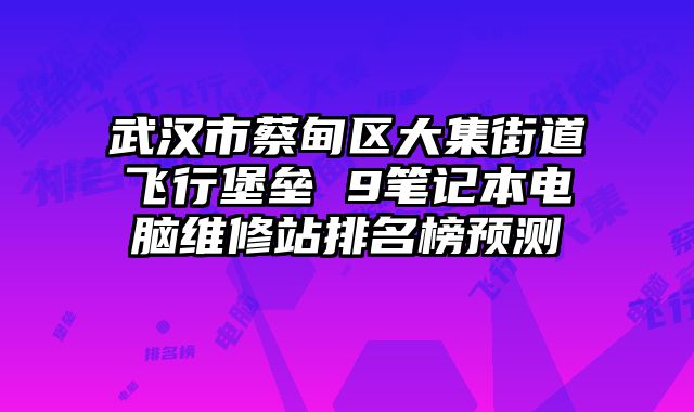 武漢市蔡甸區(qū)大集街道飛行堡壘 9筆記本電腦維修站排名榜預(yù)測(cè)