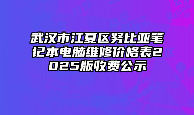 武漢市江夏區(qū)努比亞筆記本電腦維修價(jià)格表2025版收費(fèi)公示
