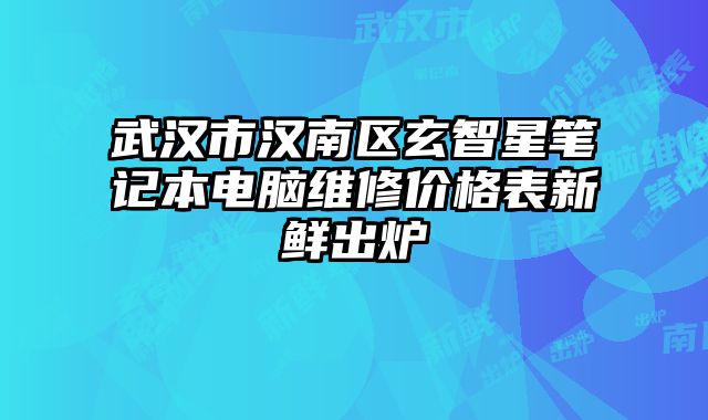 武漢市漢南區玄智星筆記本電腦維修價格表新鮮出爐